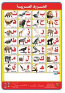 الحروف العربية